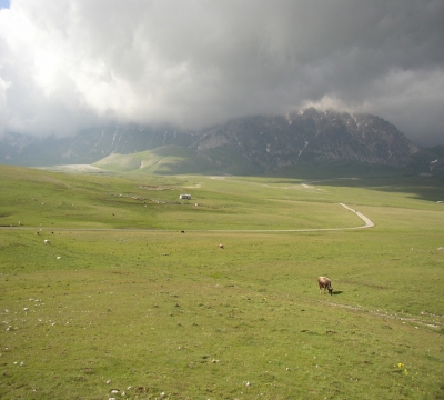 L'immenso verde 