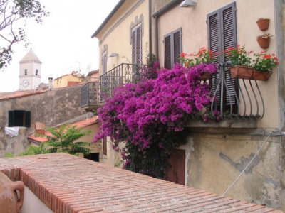 Case caratteristiche dell'Elba