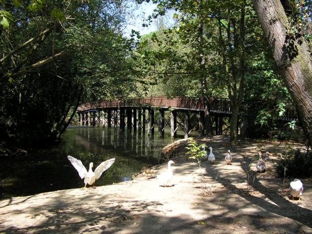Hotel ideale per visitare Parco naturale di Cervia