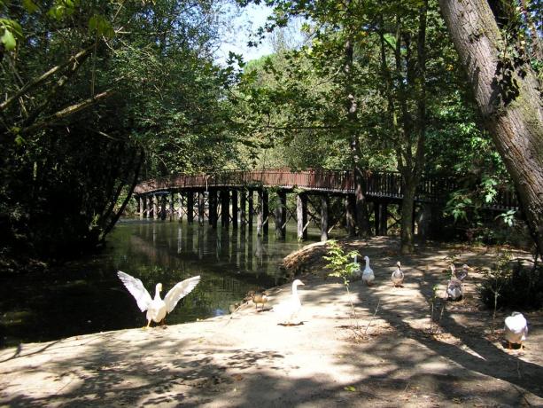 Hotel ideale per visitare Parco naturale di Cervia 