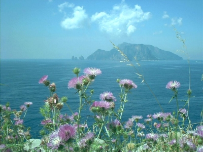 Capri dalla penisola Sorrentina
