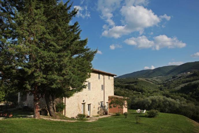 Agriturismo Il Laghetto olio e vino della casa 