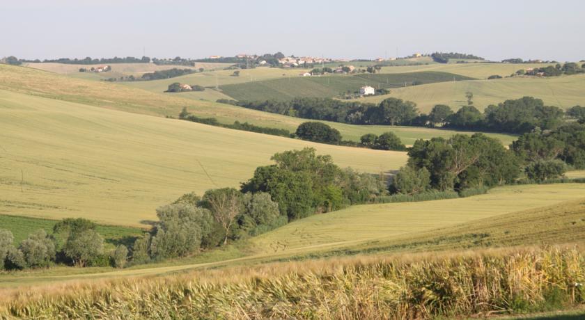 Colline Marchigiane 