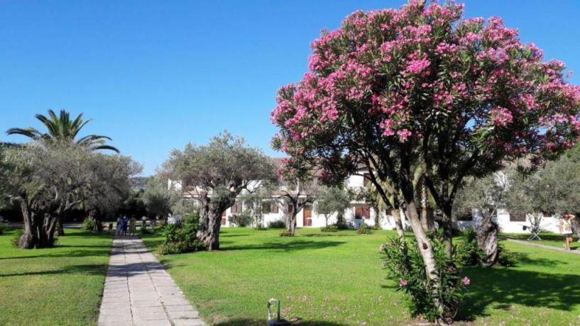 Villaggio immerso nel verde con ulivi, oleandri
