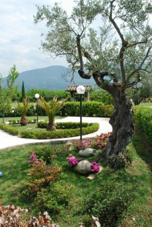Residence con ampio cortile