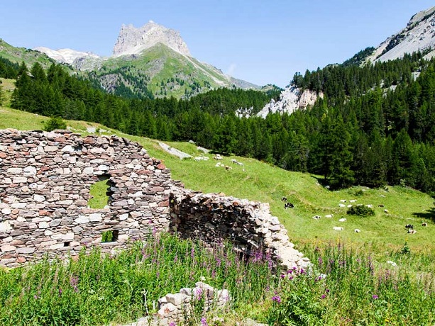Appartamenti-Bardonecchia in Estate Escursione in montagna