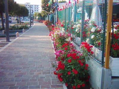 Bed and Breakfast in centro di Lido Adriano