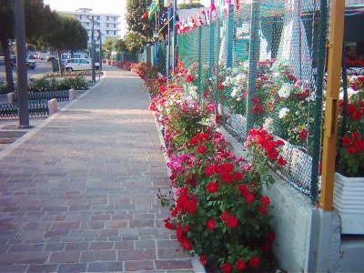 B&B in the Center of Lido Adriano