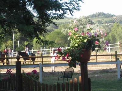 Equitazione di base vicino Foligno