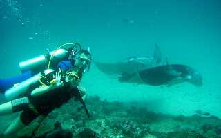 Diving in Italy, Accommodation near the sea