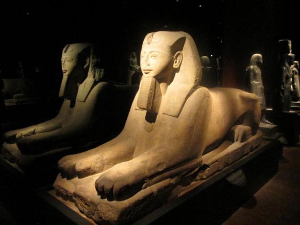Notturno al Museo Egizio