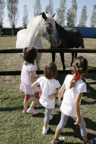 Agriturismo ideale per bambini