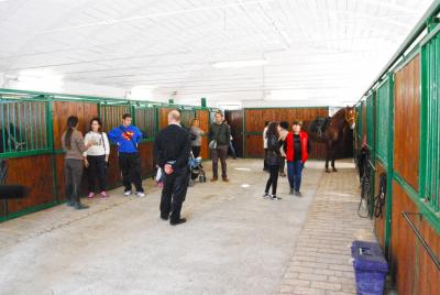 scuderia interna con 12 box centro equestre rivotorto