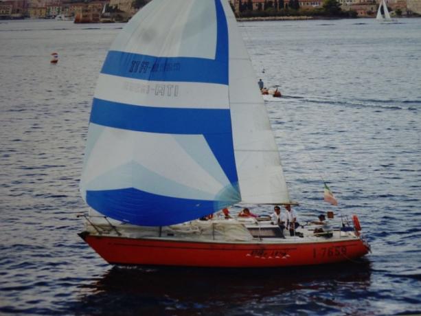 Escursione in barca a Vela isola Elba