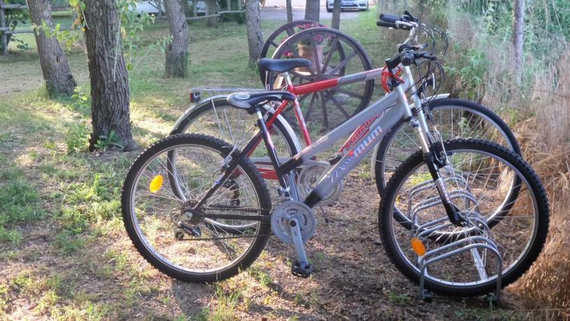 Noleggio biciclette casa vacanze Lago Trasimeno