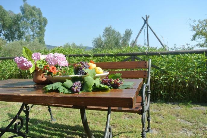 Agriturismo con Olivi a Palinuro
