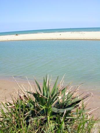 Trova il prezzo migliore per la tua vacanza