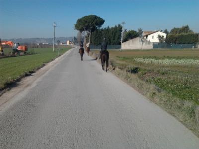 passeggiate giudate a cavallo maneggio di assisi