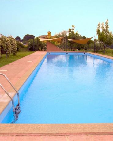Piscina in ampia area verde Agiturismo-Viterbo-Roma