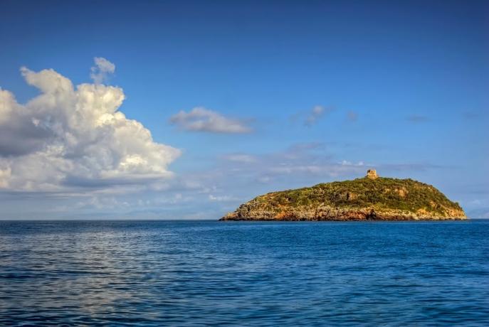 Escursioni Isola Cirella vicino Diamante 