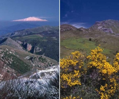 The Madoniepark, for a holiday in the middle of nature