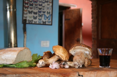Porcini cucina tipica umbra