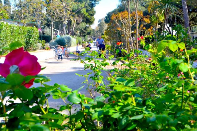 Resort Baia Domizia con parco giochi bambini