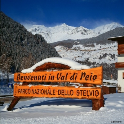 Prices of the hotels in val di peio