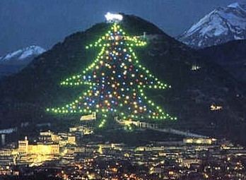 Biggest Christmas Tree in the world