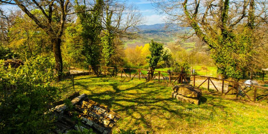 Ampio giardino in Agriturismo a Torre Alfina  