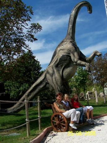 Dinosaurs and sharks in the Water Amusement park