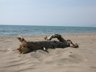 vacanza mare grosseto