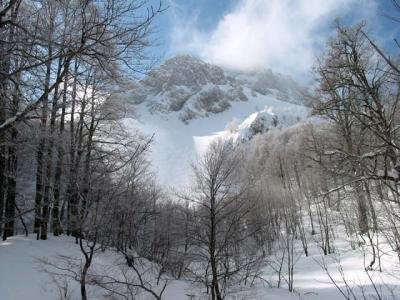 Lots of snow, all kinds of wintersports