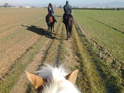 passeggiate interne ed esterne a cavallo