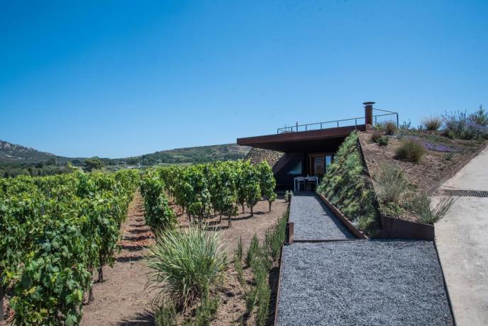 Casa vacanza a Lipari con azienda vinicola Sicilia