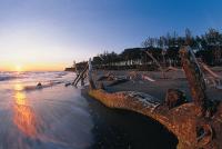 Vacanza low cost nella Maremma in Toscana