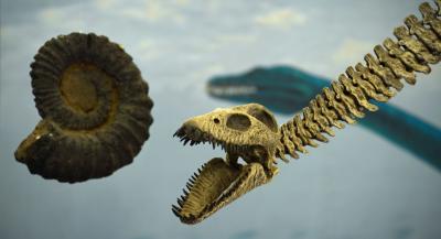 Fossili e dinosauri in Umbria