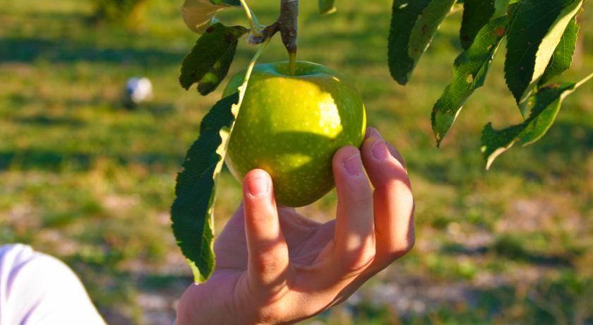 Prodotti biologici in Umbria 