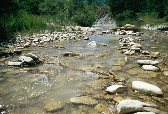 fiume adiacente 