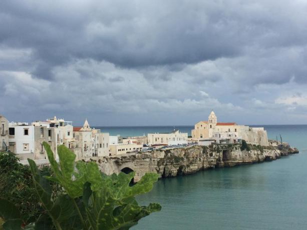 Vacanza in villaggio a Vieste 