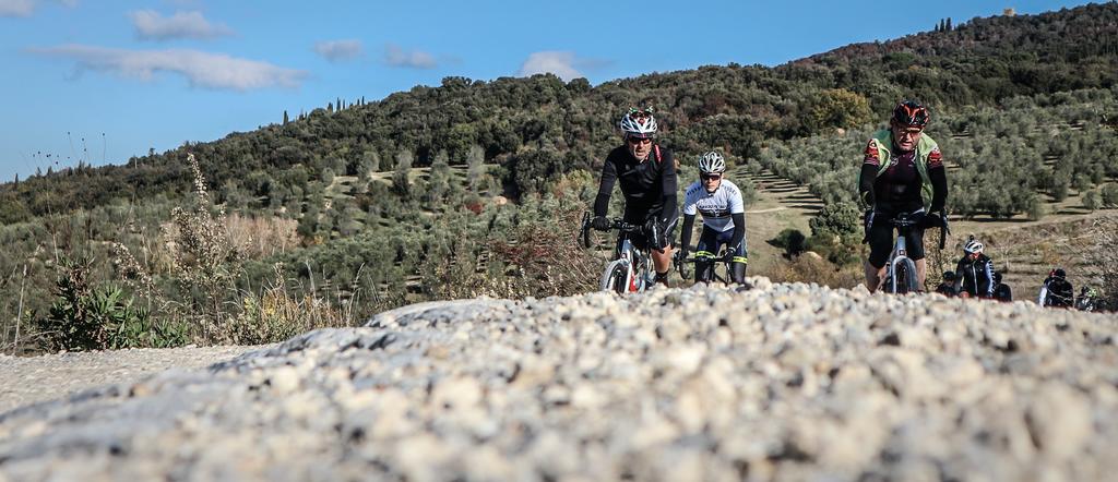 Escursioni Organizzate in Bici-Crete-Senesi 