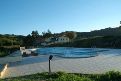 Green areas all around the swimming pool