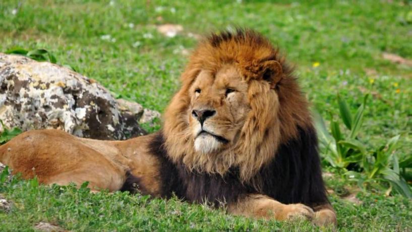 Escursioni allo Zoo Safari di Fasano Puglia 