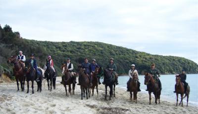 Passeggiate a Cavallo nella natura