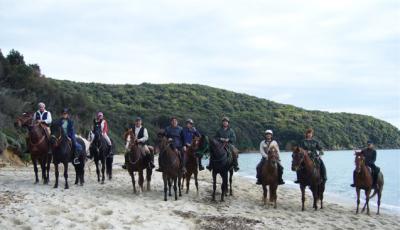 Passeggiate a Cavallo nella natura 