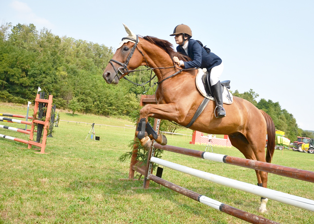 Passione per i Cavalli, Equitazione in zona 