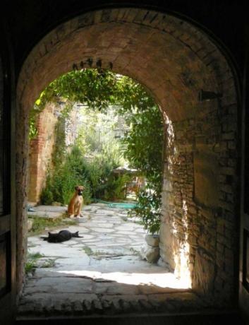 Arco di collegamento tra i 2 casali a Monestevole