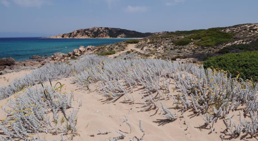 mare incontaminato vicino residence Vignola Mare 