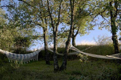 Tenuta esterna agriturismo a Umbertide