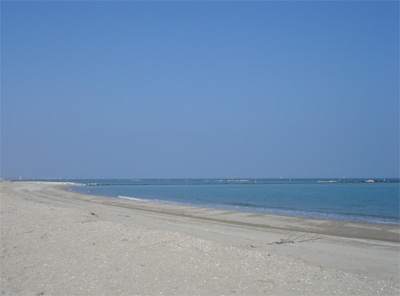 Spiaggie e Stabilimenti Balneari Puliti, Punta Marina